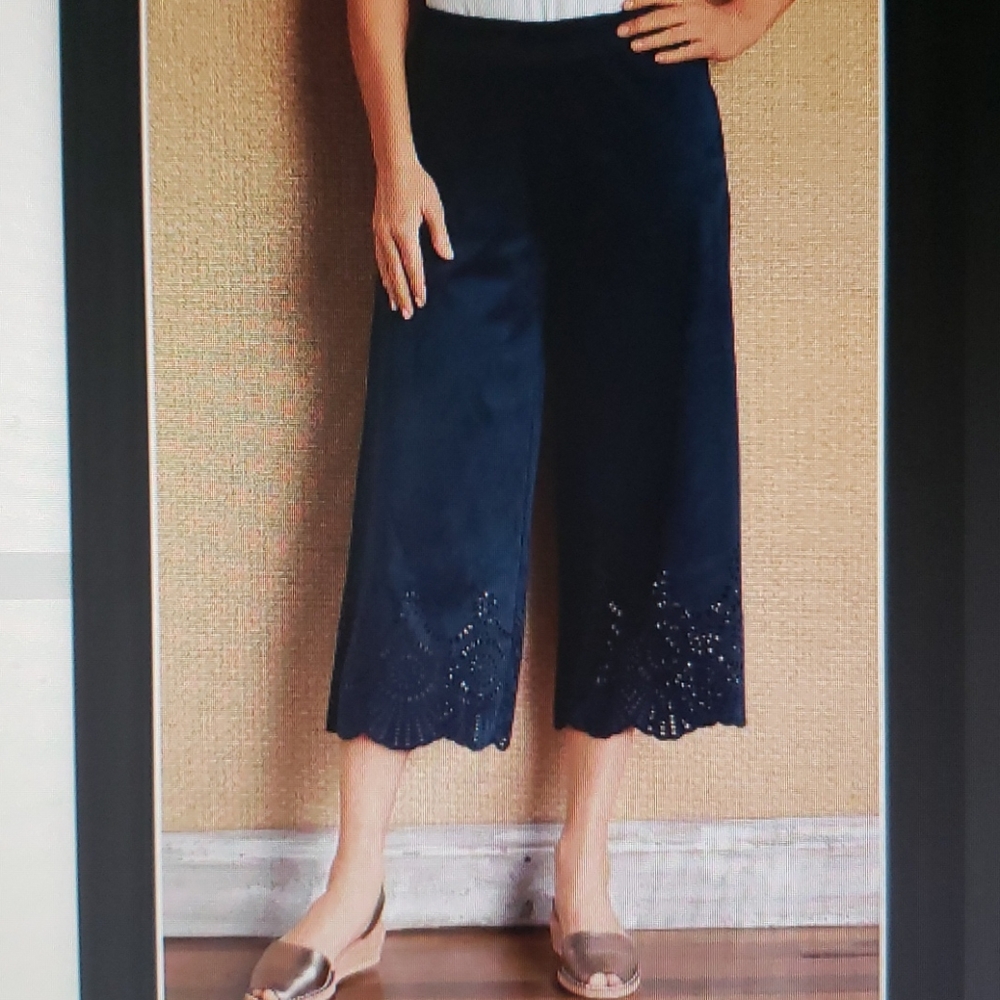 SOFT SURROUNDINGS Faux suede capris with pizzazz